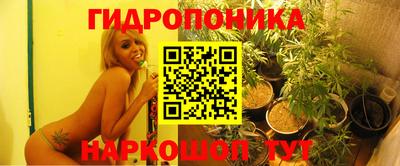 прущие крисы Пыть-Ях