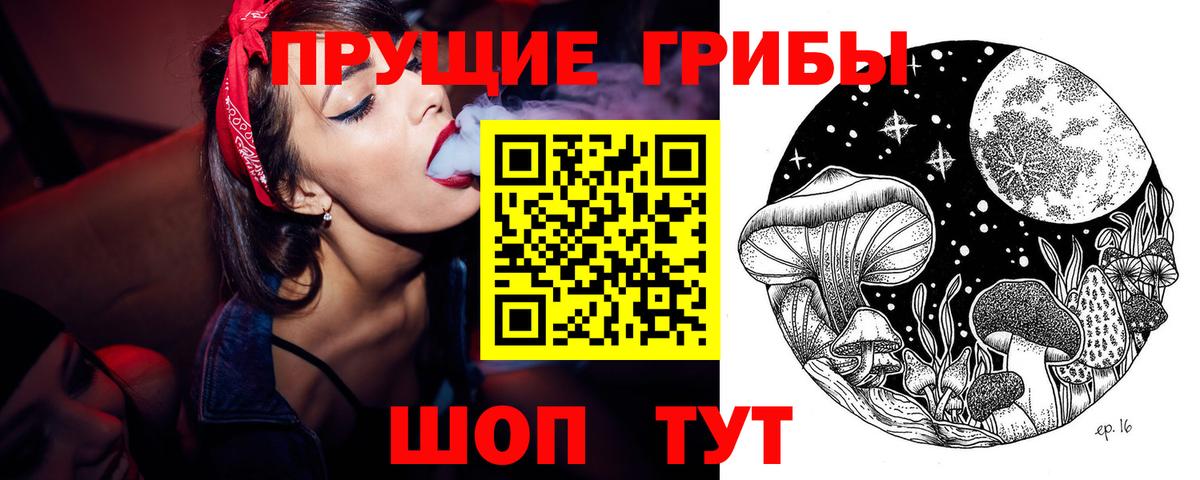 Старая Купавна  Псилоцибиновые грибы Psilocybe  Вход с VPN 